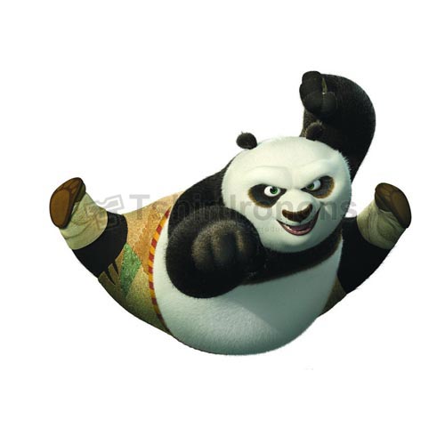 Kung Fu Panda T-shirts Iron On Transfers N2685